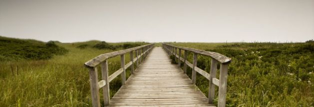 Wooden trail to the ocean shore