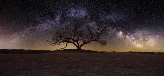 Theres-Half-as-much-Dark-Matter-in-the-Milky-Way-New-Research-Suggests-700x325