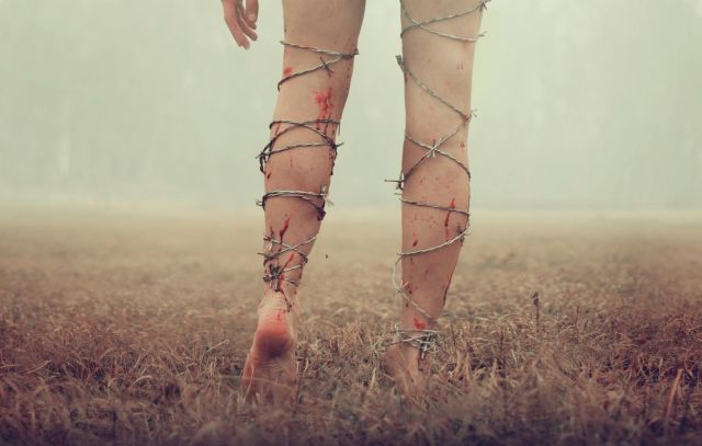 c0c358a9165cbcd53fafb003e79a11a9