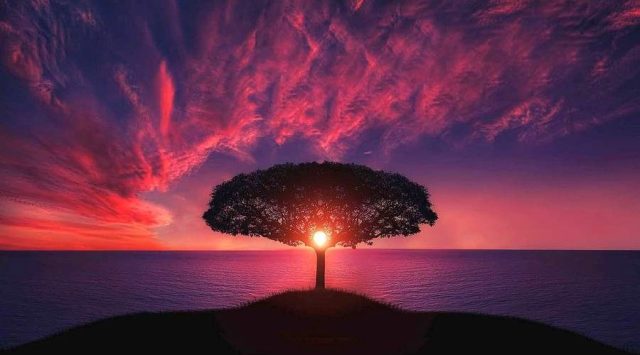 -природы-e1534007720297-900x500